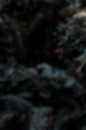 stephen-packwood-nNNxBHA4ops-unsplash.jp