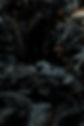 stephen-packwood-nNNxBHA4ops-unsplash.jp