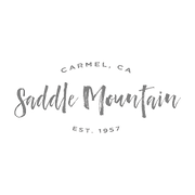 Saddle Mountain logo