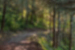 Cabin 1 Web Finals (6 of 13).jpg