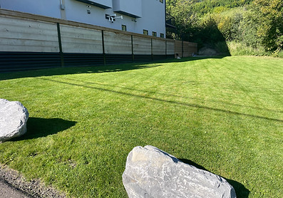 Lawn regularly serviced using top dressing, core aeration and mowing techniques