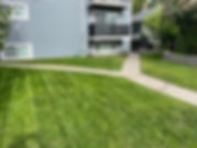 IMG_3113.jpeg