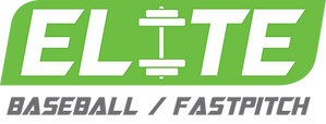 Baseball Fastpitch Logo (gray).png