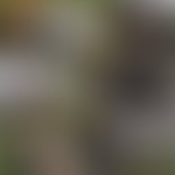 Athletes in Action - Jul 2020