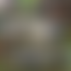 Athletes in Action - Aug 2020