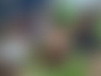 Cultivating the Land at Beginning of Rainy Season