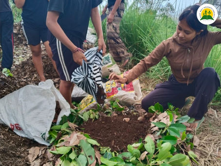 Cultivating the Land at Beginning of Rainy Season