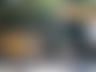 My First Experience as a Girl Joining Volleyball Competition