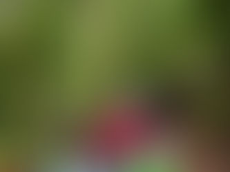 Negotiating Landslides along Darmaji’s Roads