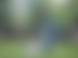 Students’ Field Trip and Student Council Election