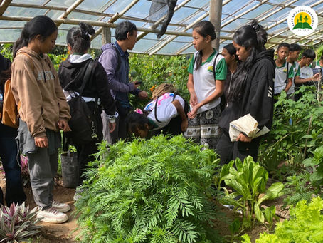learning organic dryland farming
