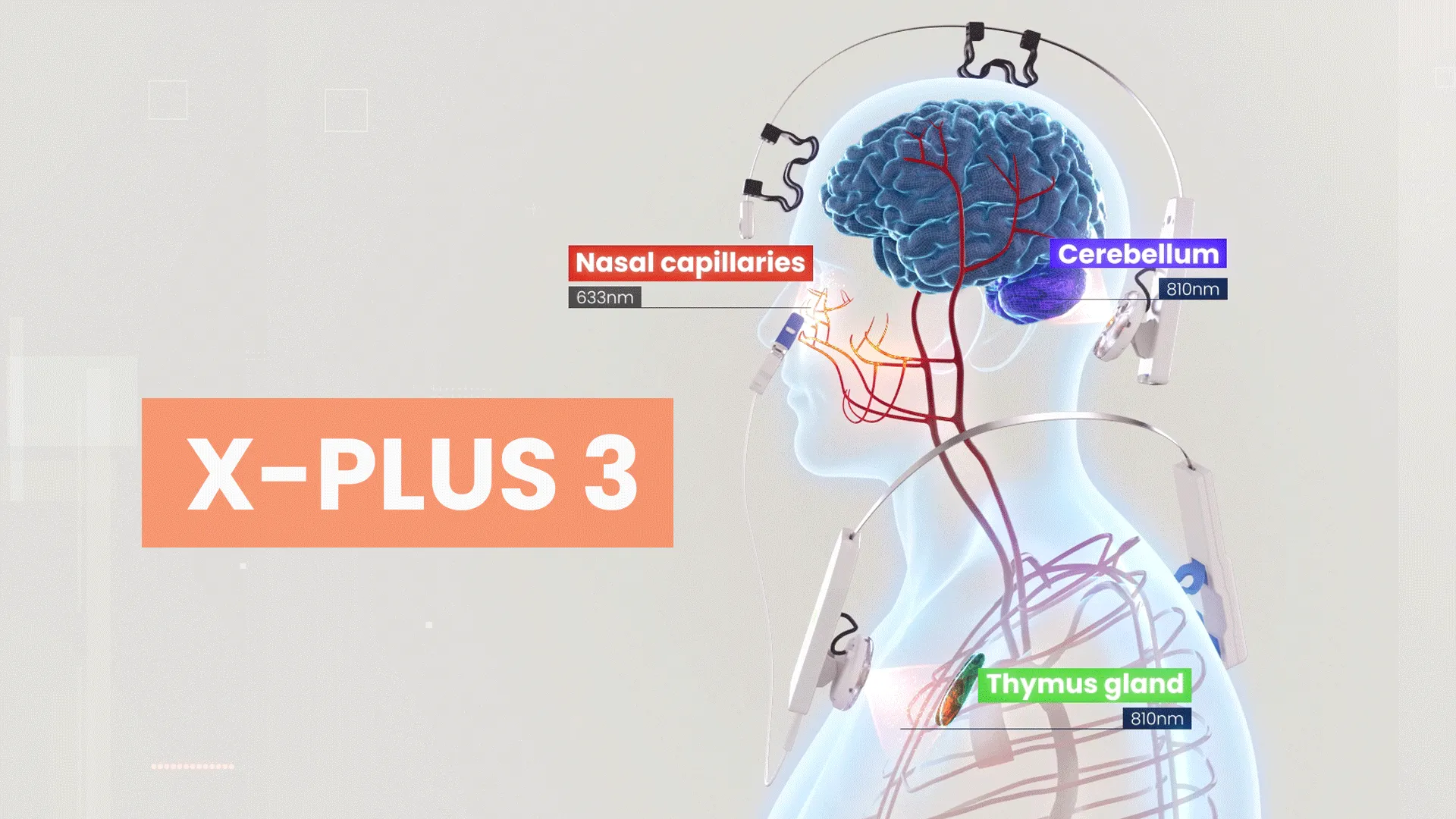 X-Plus-3-3D.webp