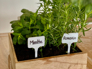 DIY coffret mixologie : bac herbes aromatiques