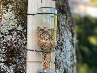 DIY coffret mixologie : mangeoire pour oiseaux