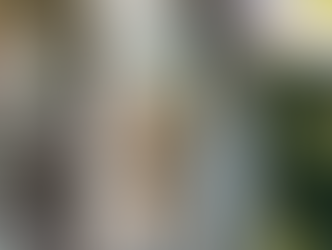 DIY coffret mixologie : mangeoire pour oiseaux