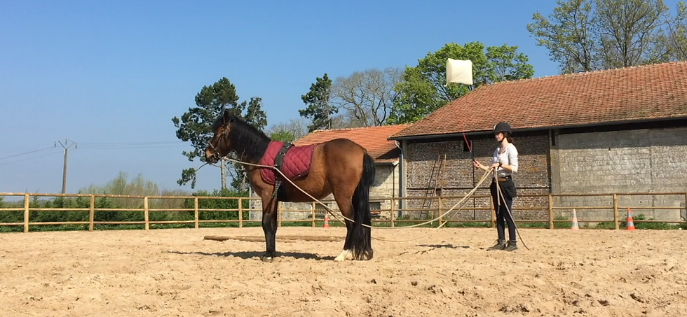 Estrelinha, travail en longues renes