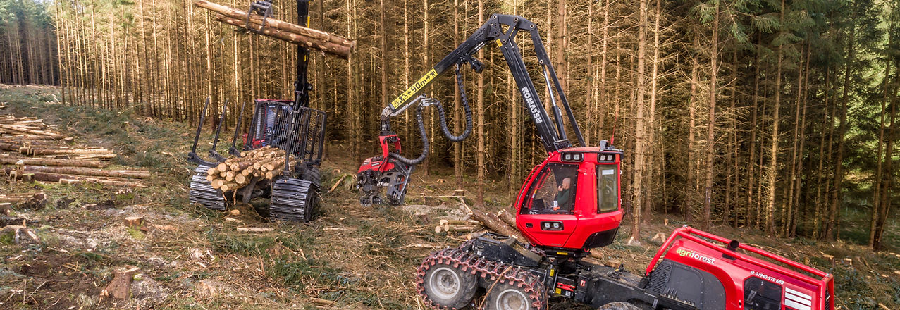 Agriforest-busy-harvesting