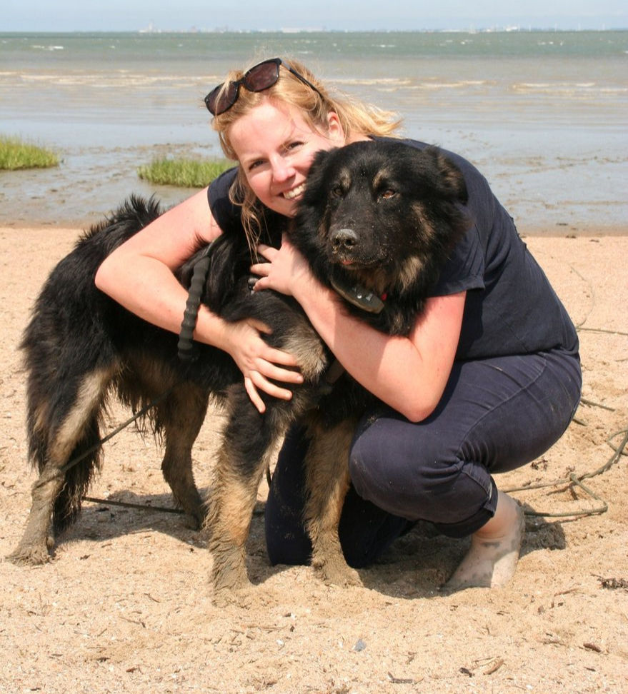 Marley chien thérapeute. Thérapie assistée par le chien