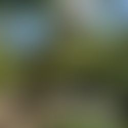 Delayed Gratification