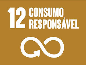 serviços 02.jpg
