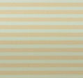 54. Vibe Yellow