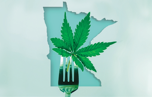 Growing THC Legalization: What It Means in One State