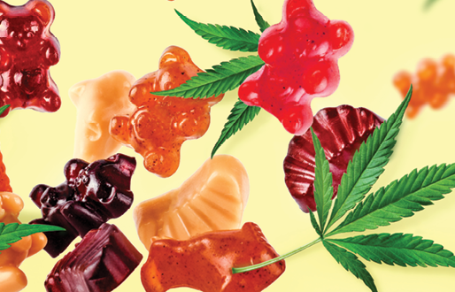 A Tale of Two Plants