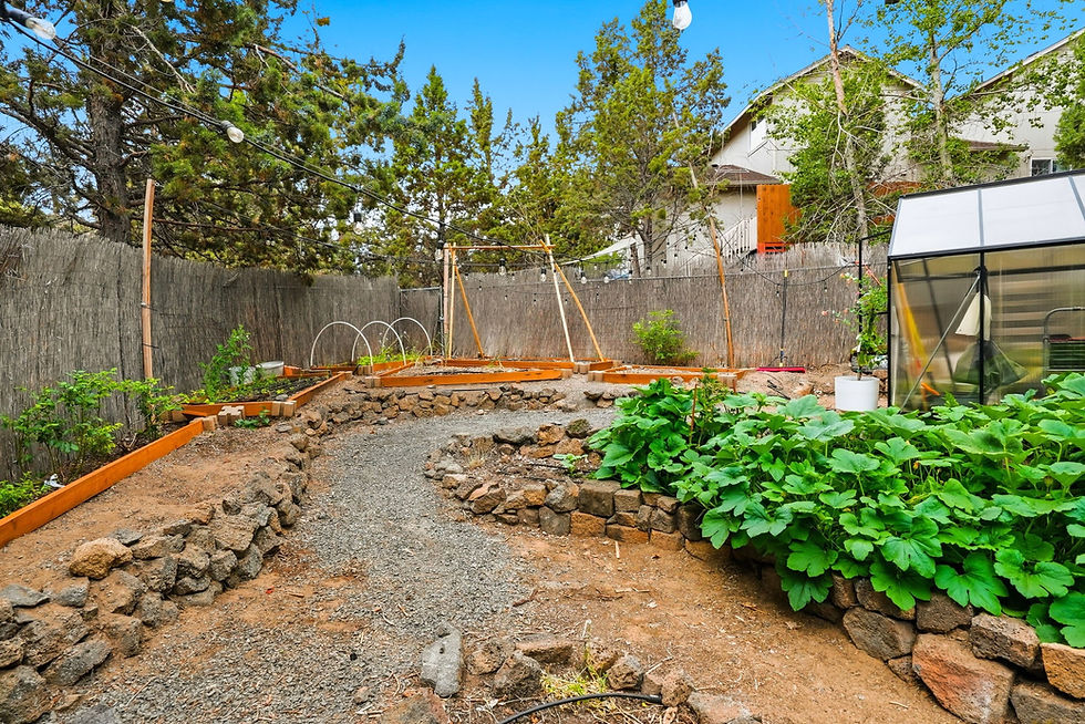 Garden Beds + Greenhouse