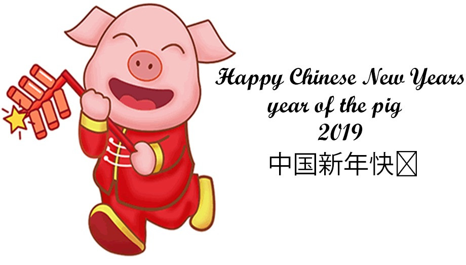 Year of the Pig