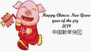 Year of the Pig