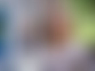 Retailers As Brands: Growth Lies In Understanding The Role Of Every Channel