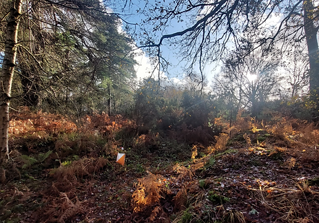 Dorte powder day.png