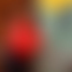 Sanne van Kuijk-Evertse - BUUT