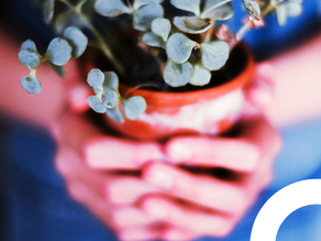 What are the growth opportunities within your domain?