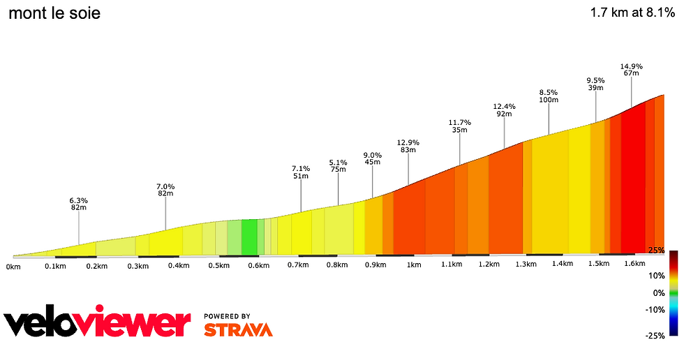 Mont le Soie Liège Bastogne Liège 2025