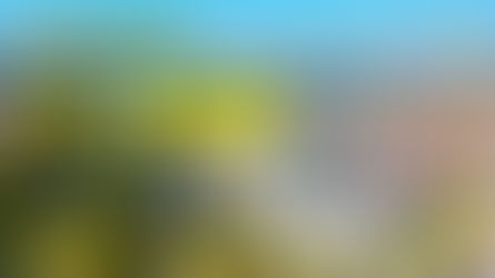 Tour de France 2026 🇫🇷 - Étape 5 : Merlier, Philipsen, Kooij... Enfin un sprint massif ?