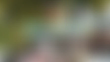 Paris-Tours 2025 : Parcours, engagés et favoris de la 119e édition