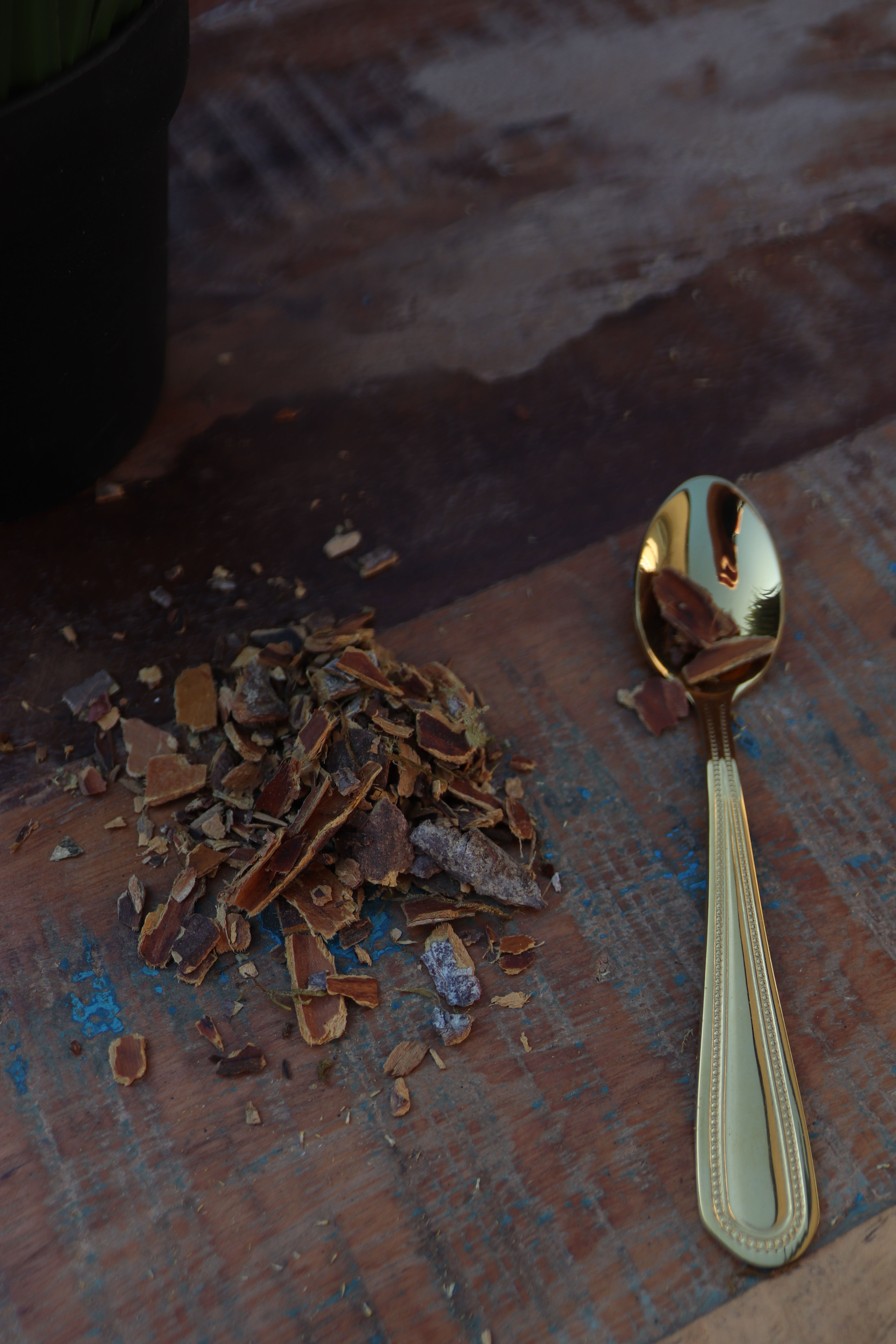 Wild Cascara Sagrada