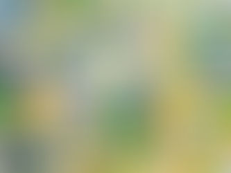 BeeZ Buzz — March Updates