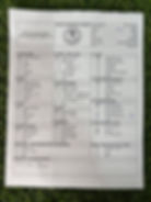 Poodle puppy for sale Jagger