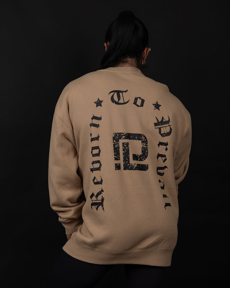 Thumbnail: "Reborn to prevail" Sand stone  unisex  pullover