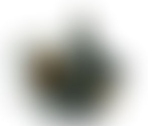 ВЫКЛЮЧАТЕЛИ УПРАВЛЕНИЯ ПНЕВМАТИЧЕСКИЕ