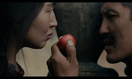 122636_preview.jpg