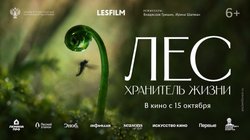 лес гор
