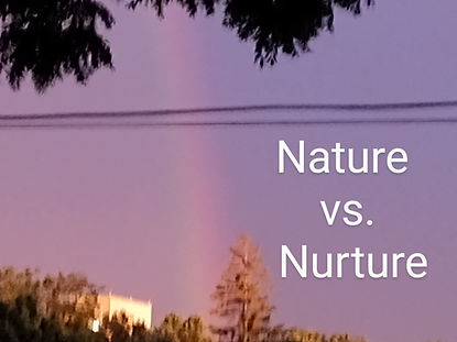 Veteran Becca Kuhn July Nature1 WRITING.jpg