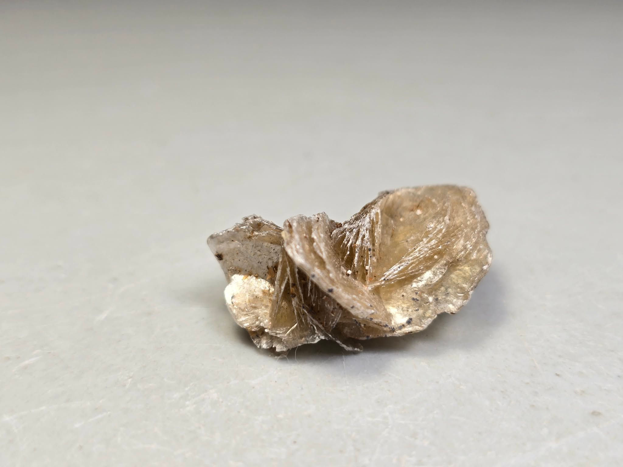 Polylithionite 