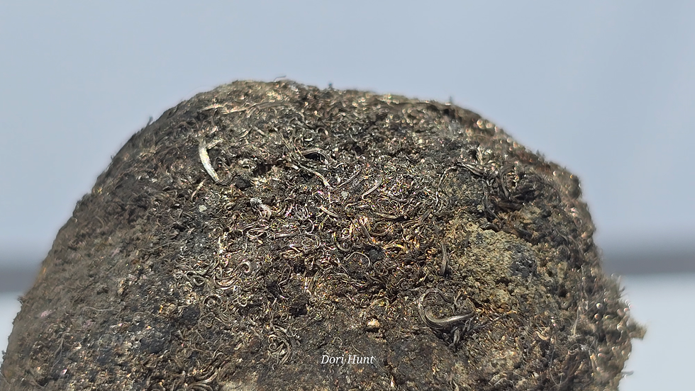 Thumbnail: Wire Silver 