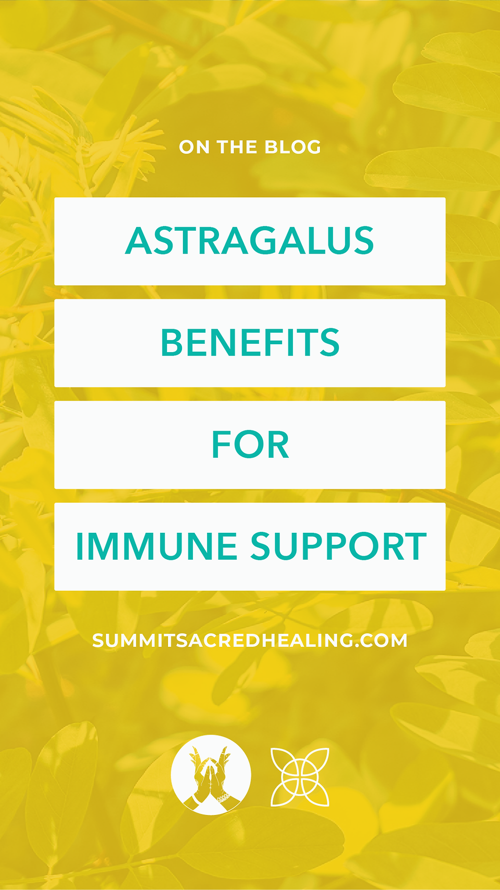 Astragalus Blog Post Cover