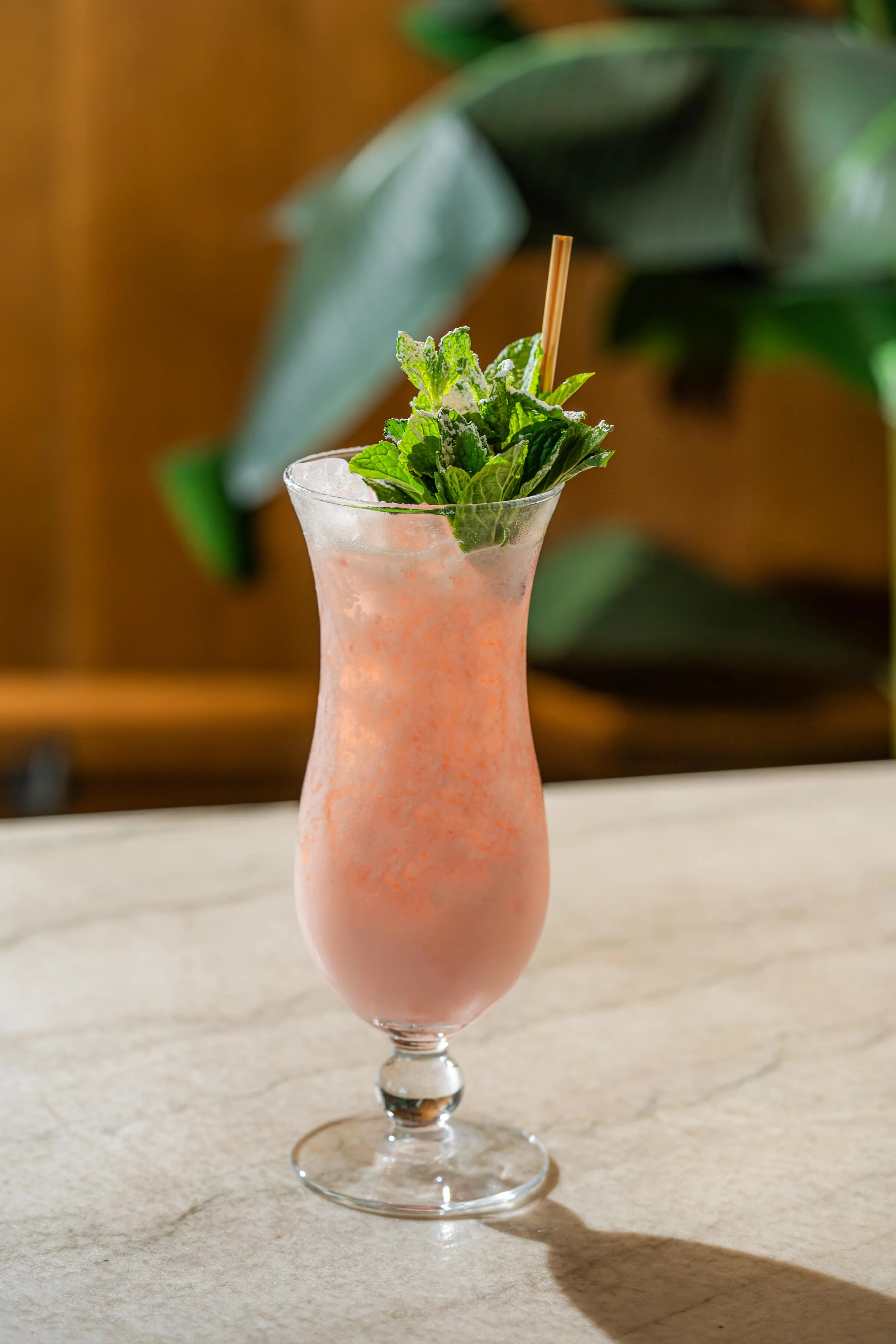 Tapas and Spanish wine sharing