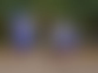 笑って終わるために-1回生 MF #17 浜橋学-